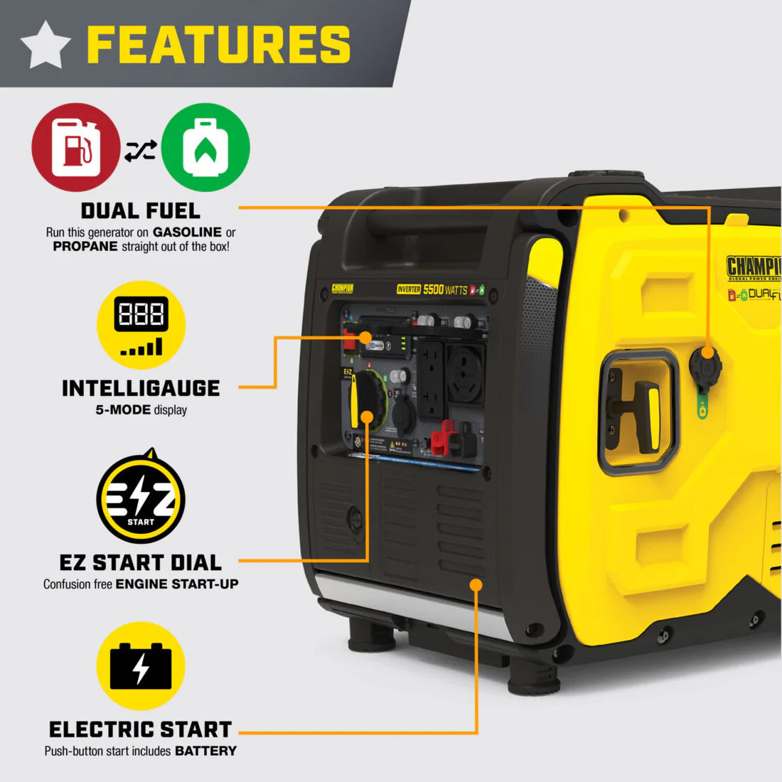 5500W Electric Start Dual Fuel Inverter with CO Shield®